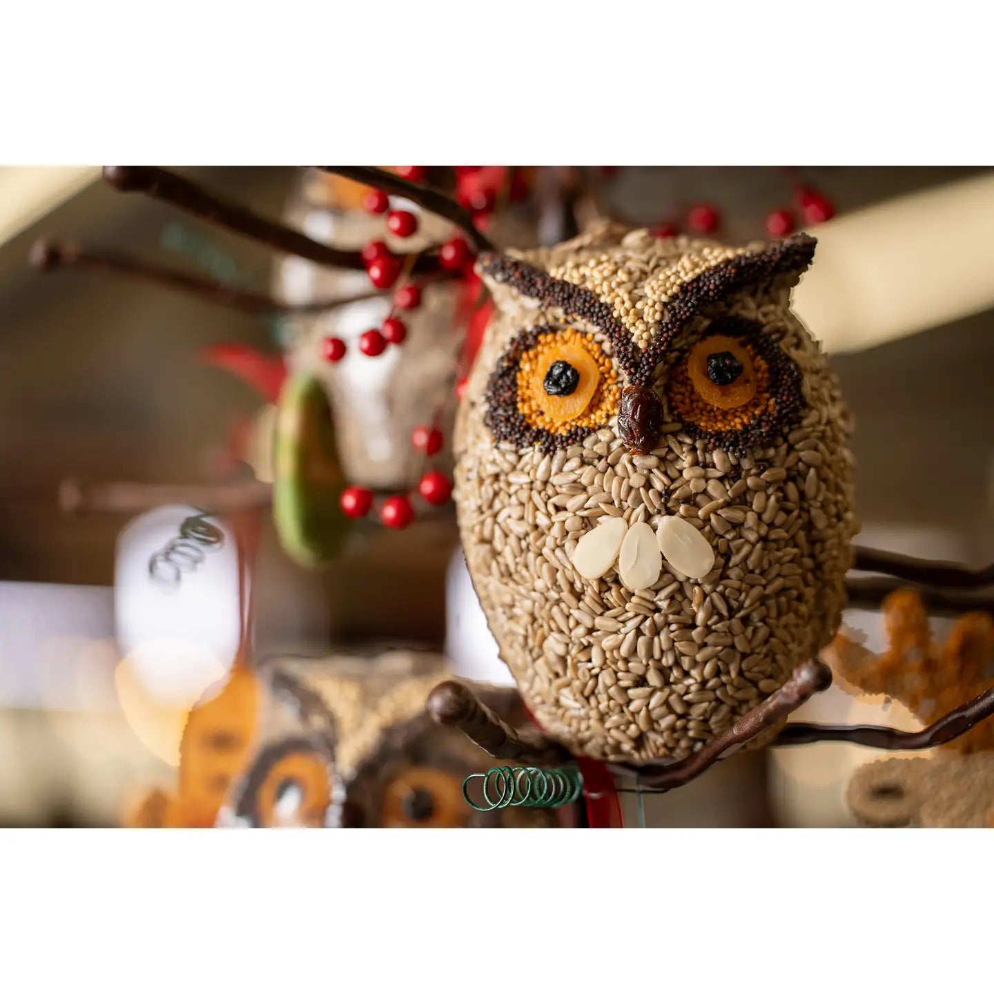 Whoo-lio Owl Bird Seed Feeder
