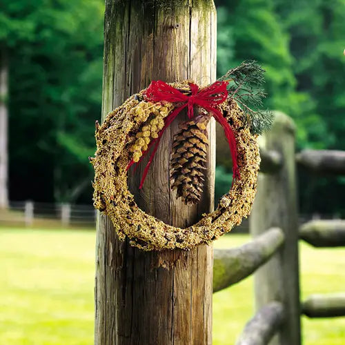 Rustic Bird Seed Wreath