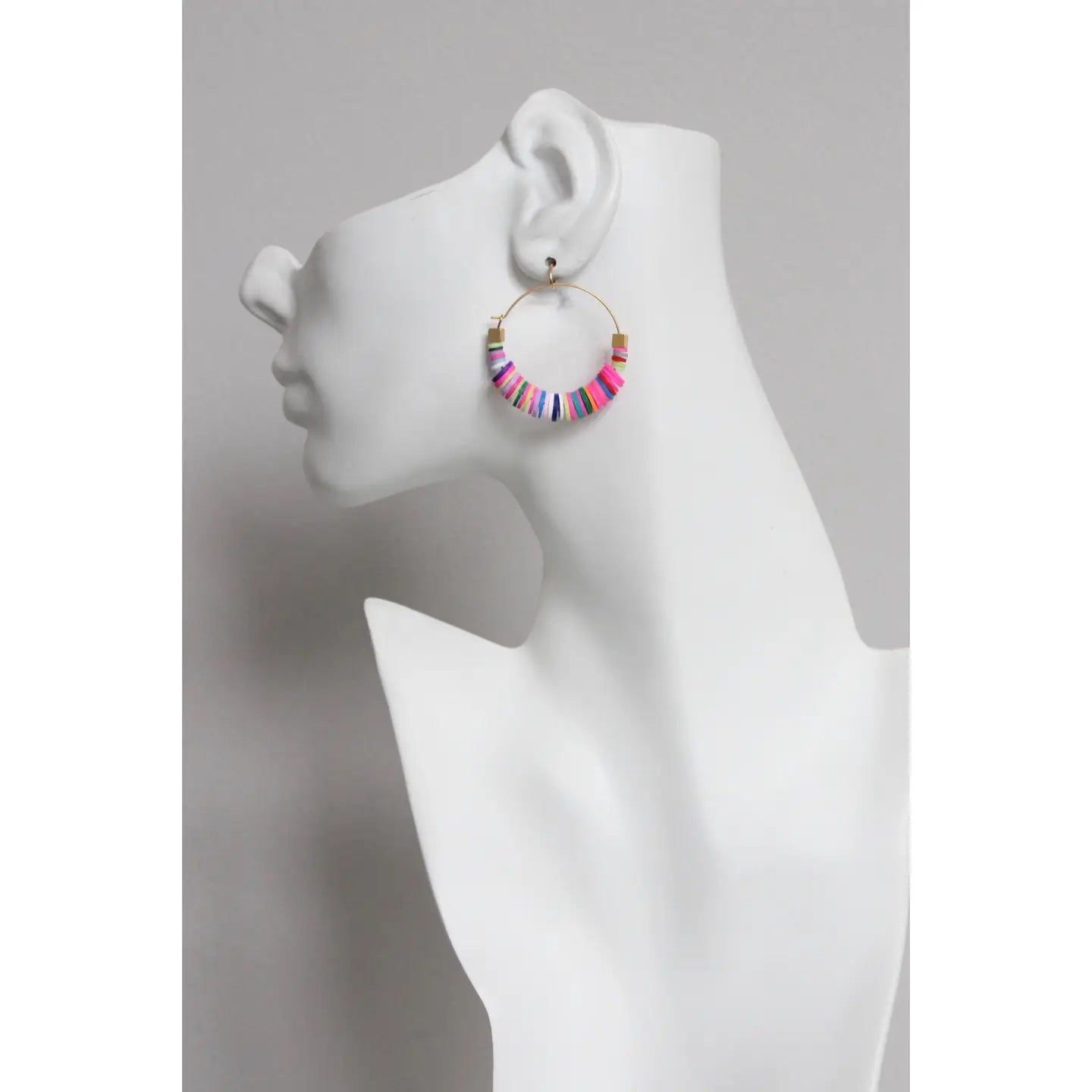 Rainbow Hoop Earrings