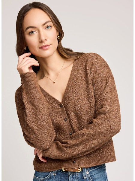 Lila V-Neck Cardigan Sweater - Chestnut