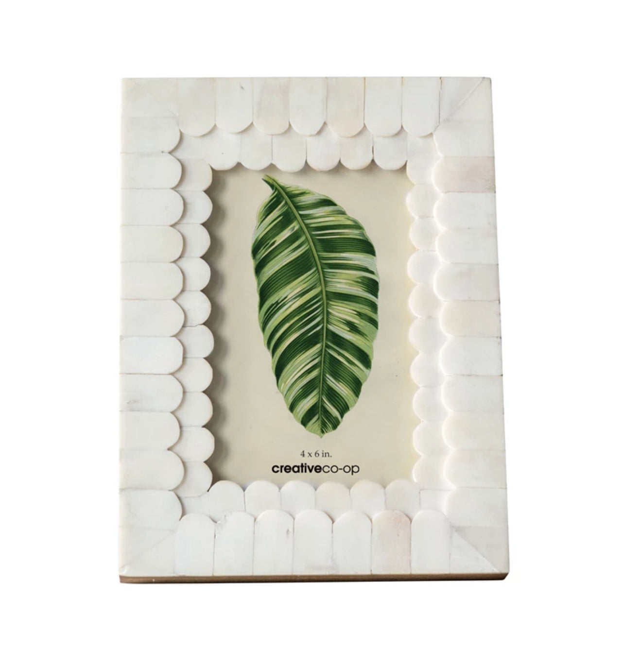 Scalloped Bone Picture Frame