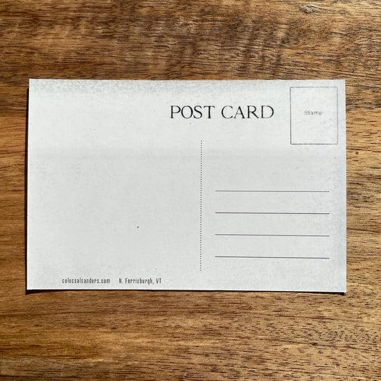 Bernie Sanders Statue Funny Postcard