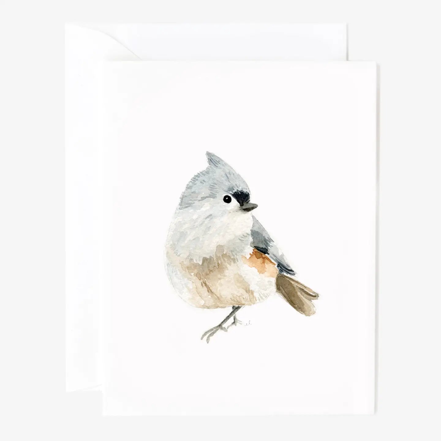 Birds Assorted Notecards - Set of 8