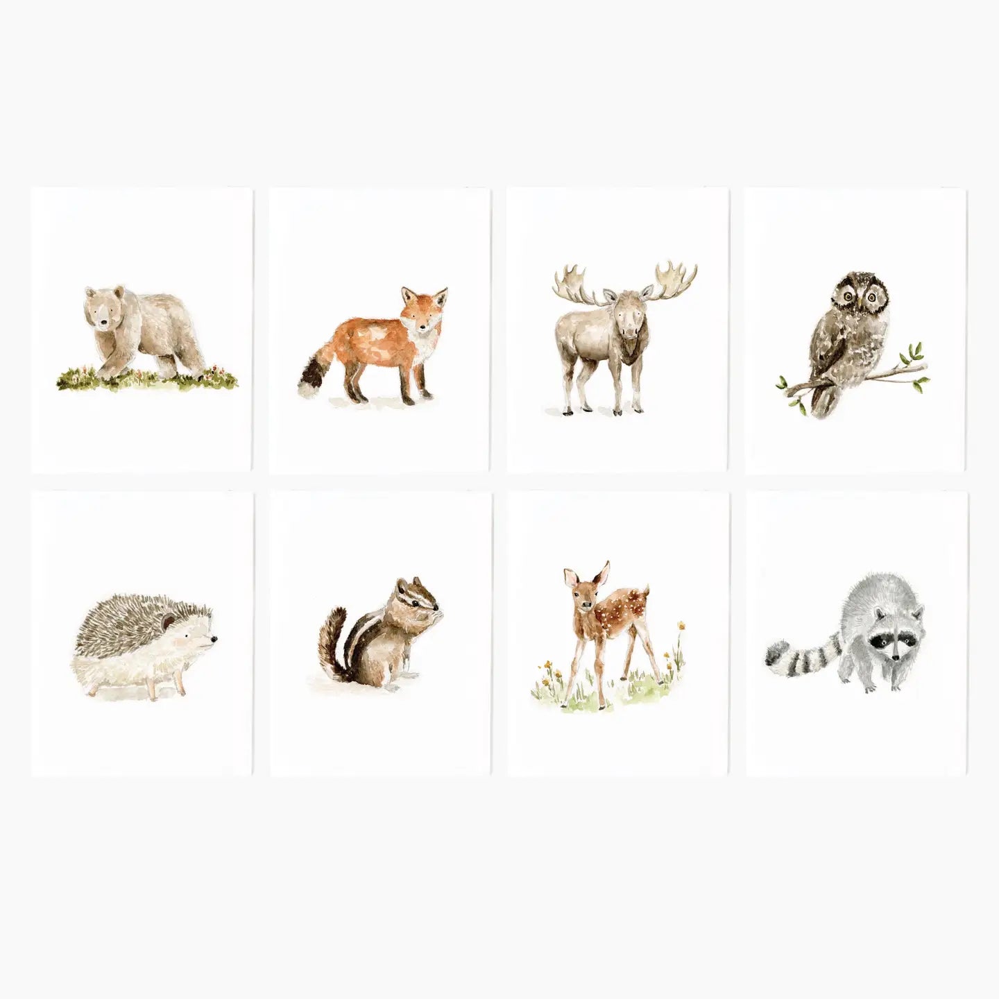 Woodland Animals Notecards - Set of 8