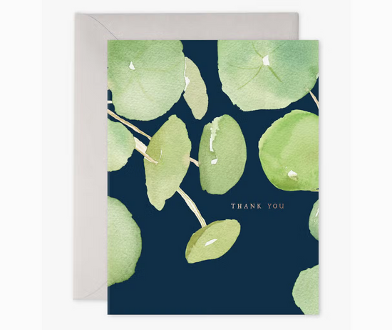 Pancake Plant Pilea Thank You Greeting Card