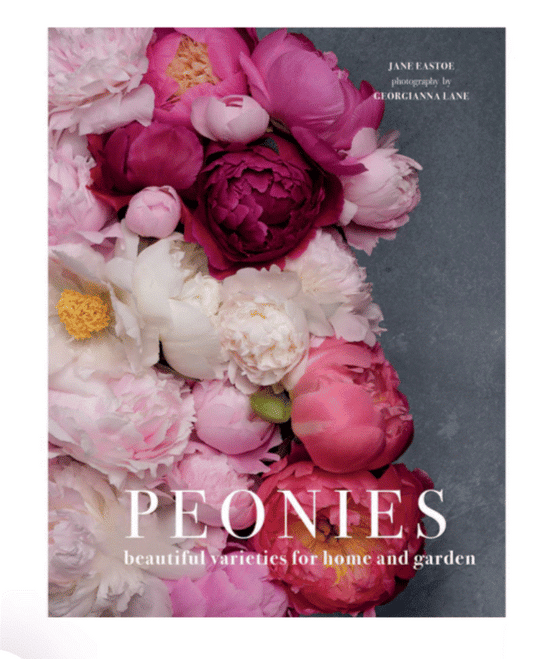 "Peonies" Book