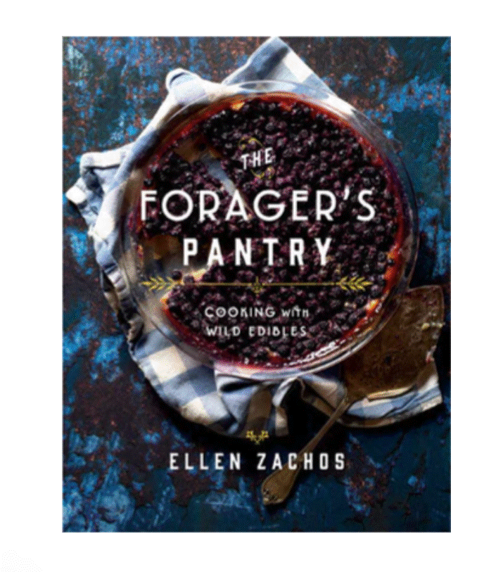 "The Forager's Pantry" Book
