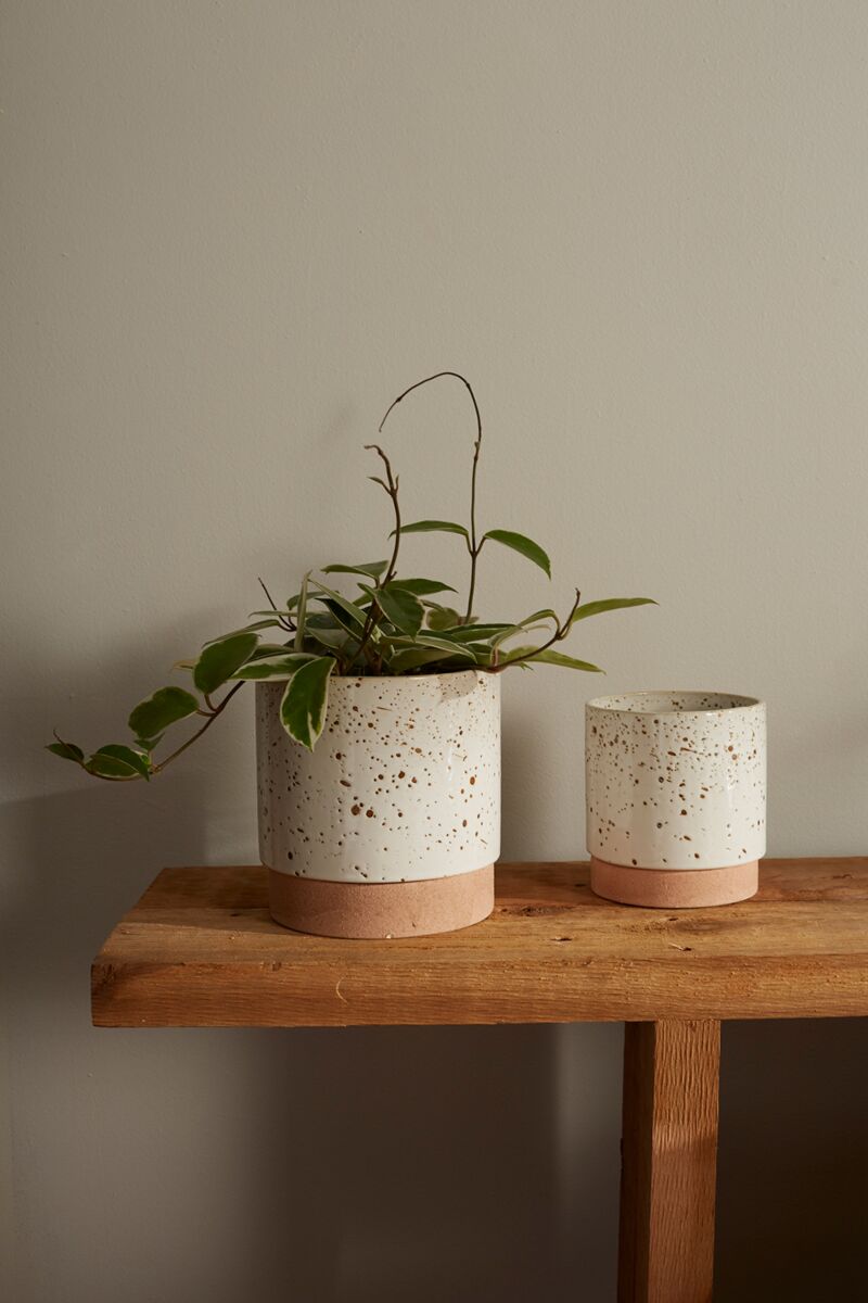 Briar Plant Pot - 6 3/4 Inch