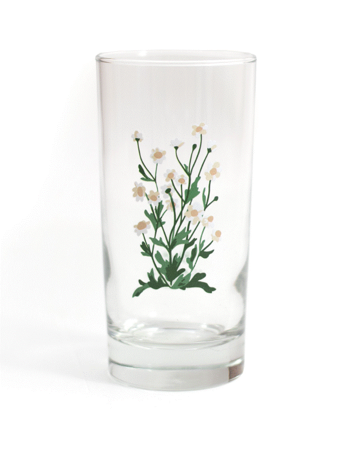 Montauk Daisy Juice Glass