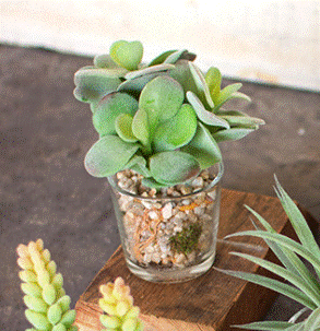 Load image into Gallery viewer, Faux Succulent in Glass Container #1
