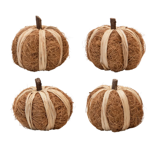 Dried Raffia Pumpkins