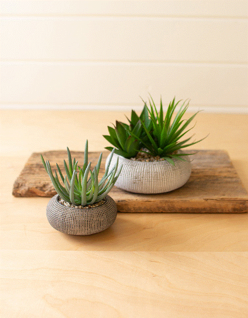 Load image into Gallery viewer, Faux Succulent in Concrete Pot - Small
