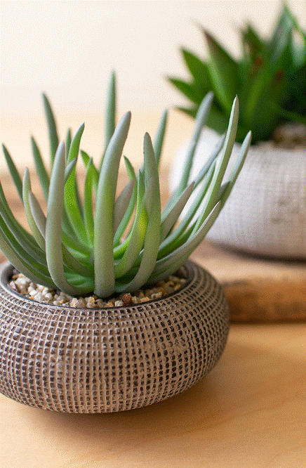 Load image into Gallery viewer, Faux Succulent in Concrete Pot - Small
