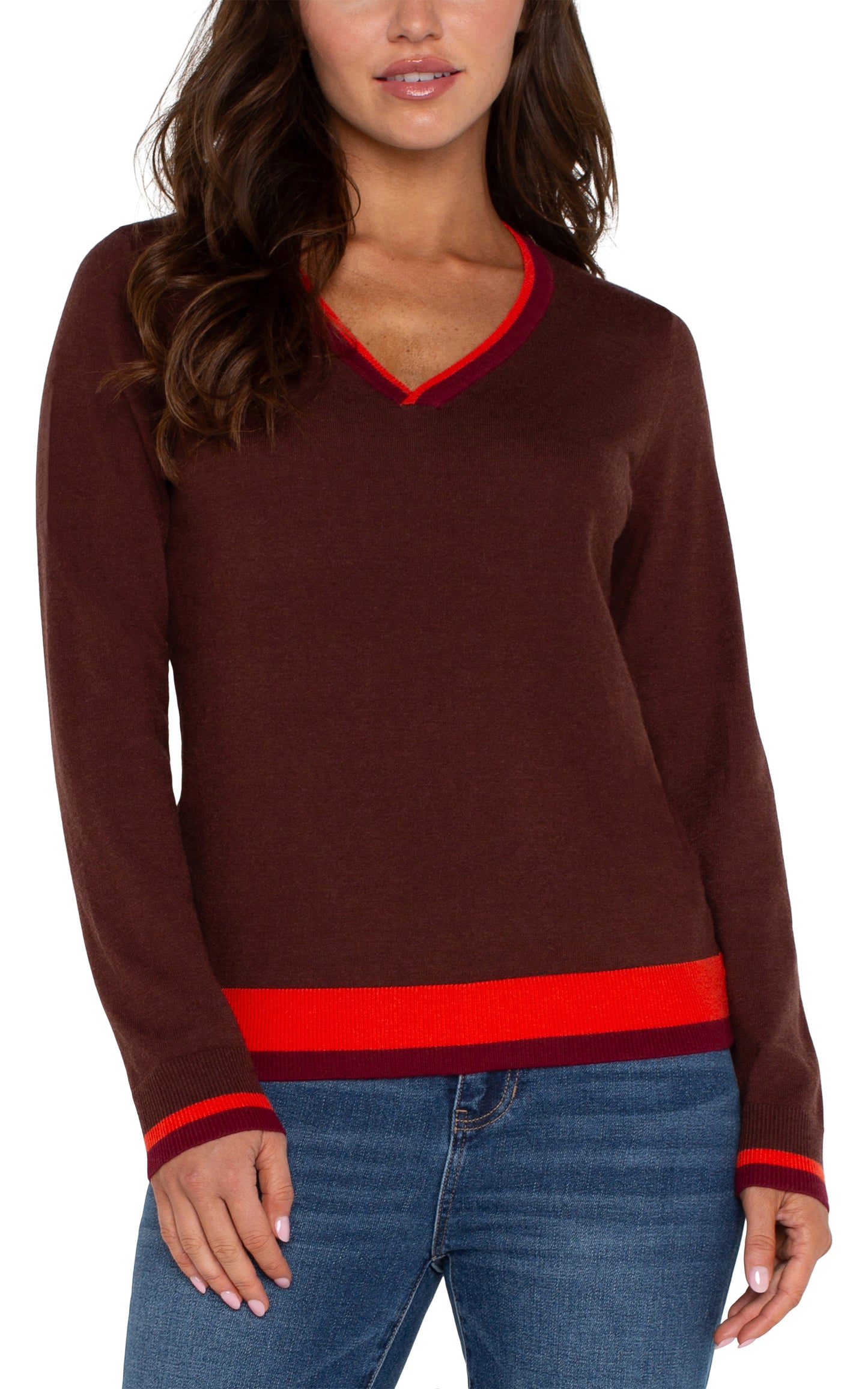 Long Sleeve Colorblock Sweater - Retro Brown Multi