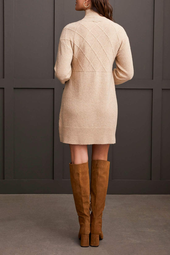 Mock Turtleneck Sweater Dress - Oatmeal