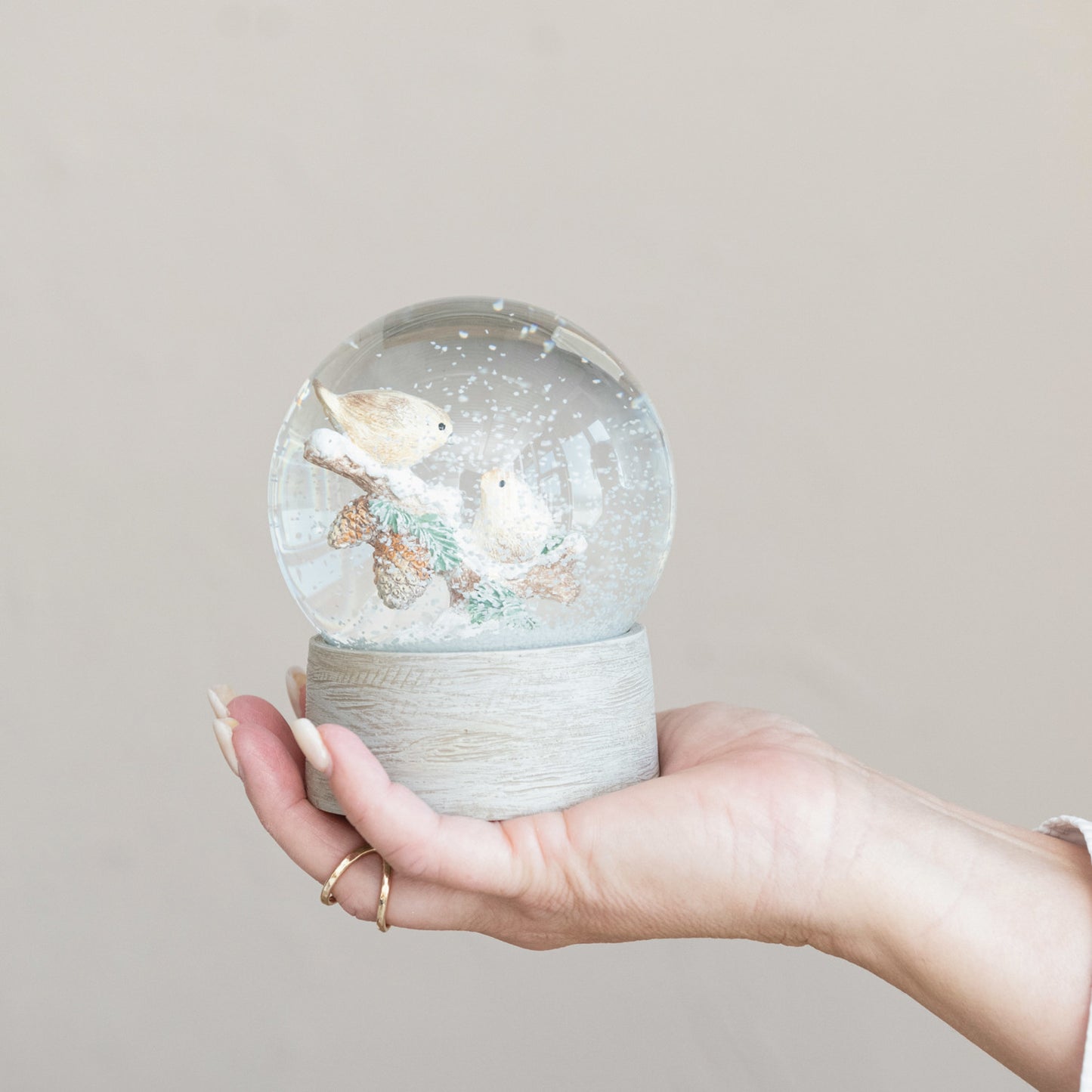 Resin & Glass Snow Globe With Birds