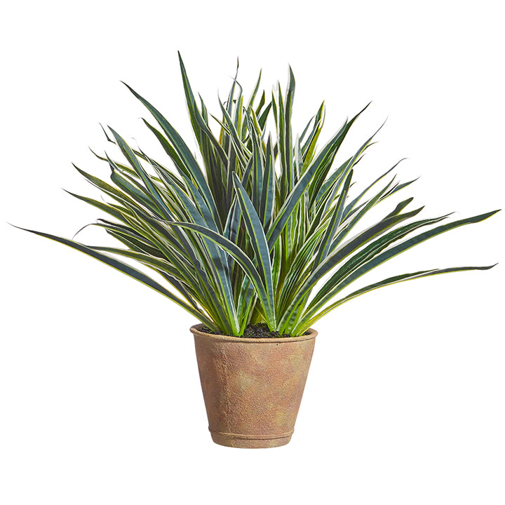 dracaena fern Raz Imports Faux Dracaena Fern Plant – Bailey Road