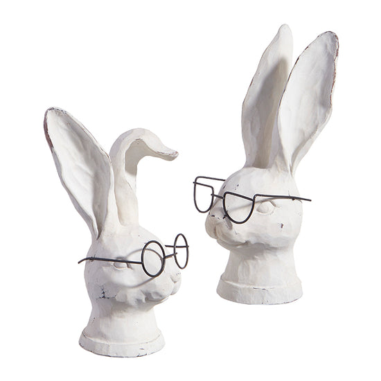 Rabbit with Glasses