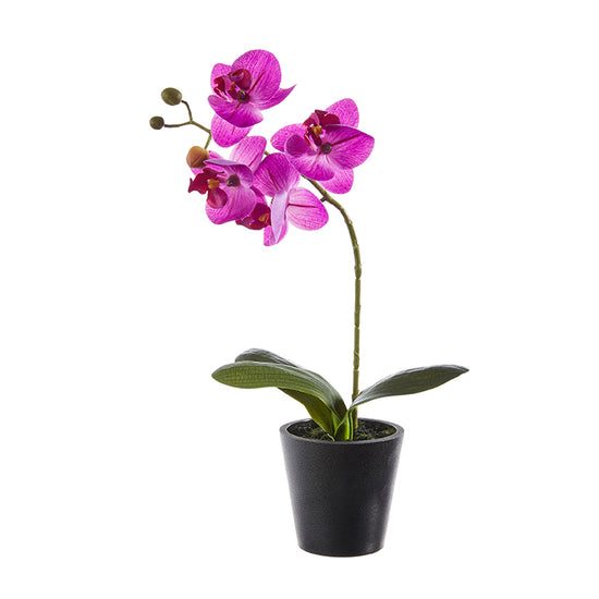 Real Touch Faux Potted Orchid