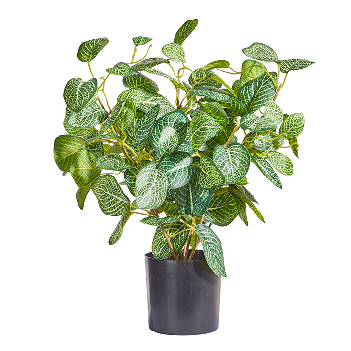 Load image into Gallery viewer, Faux Potted Fittonia Nerve Plant

