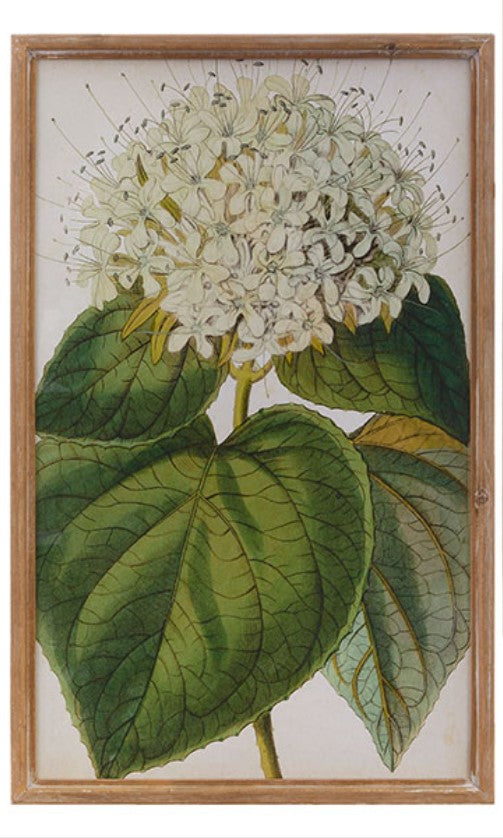Load image into Gallery viewer, Framed Floral Print - Hydrangea
